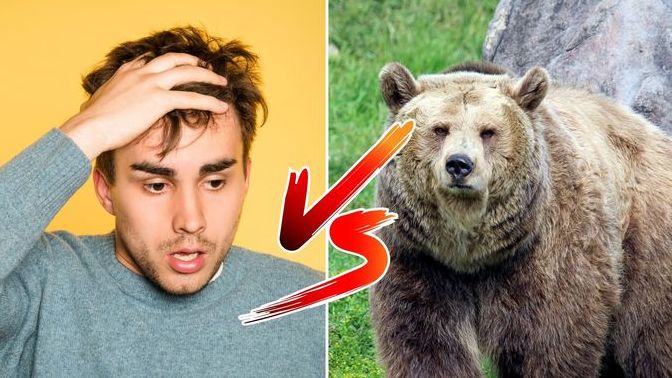 Why did a lot of women say that they would rather be alone with a bear than they would a man?