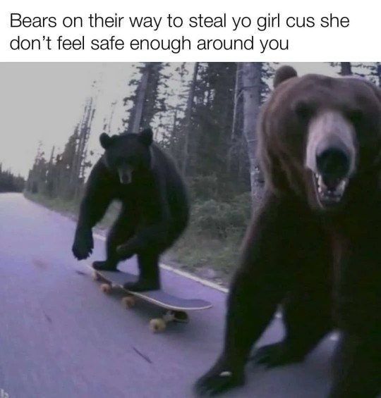 New twist to the bear question?