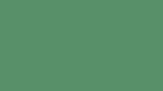 What do you think of these shades of green?