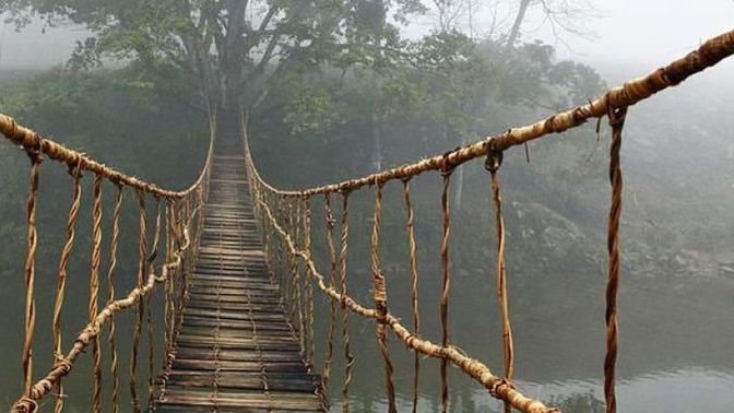 Would you cross this bridge?