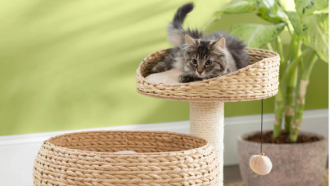 What are some things to consider before buying a cat tree?