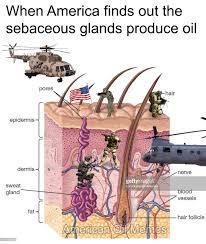 I'd had clear skin for months, but started breaking out last week because of my finals, and now, my skin is oilier than ever! What can I do for acnes?
