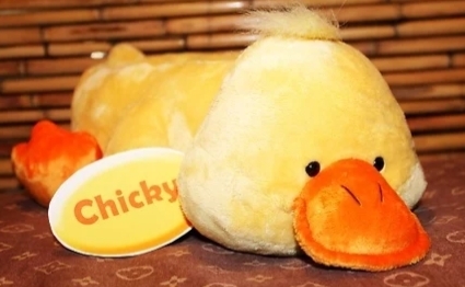 When you were a kid, what name did you give your favorite toy or stuffed animal?