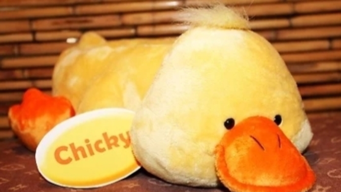 When you were a kid, what name did you give your favorite toy or stuffed animal?