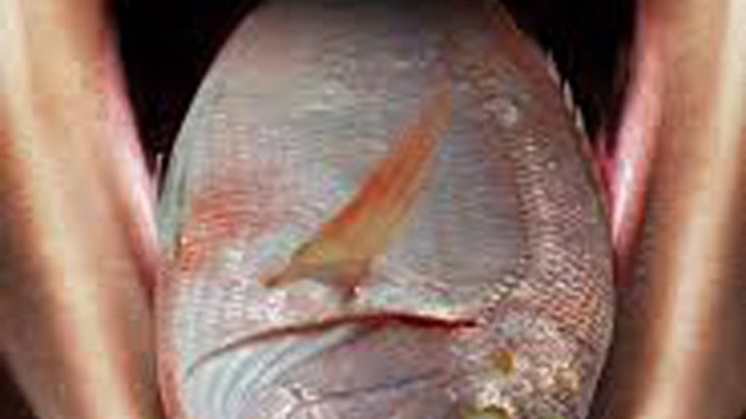 Do you like raw fish?