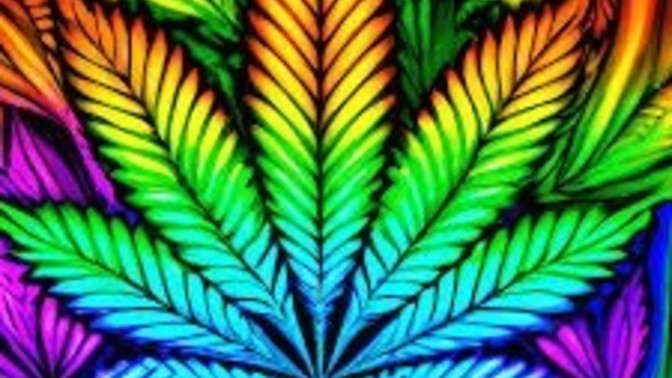 Do you have a problem with Marijuana users?