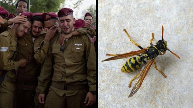 ISRAELIS🇮🇱 VS BEES🐝! What do you think of this?