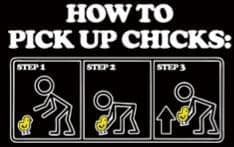 Guys, how to you pick up chicks?