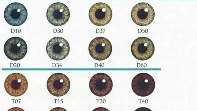 What’s your eye color (based on the pic)?