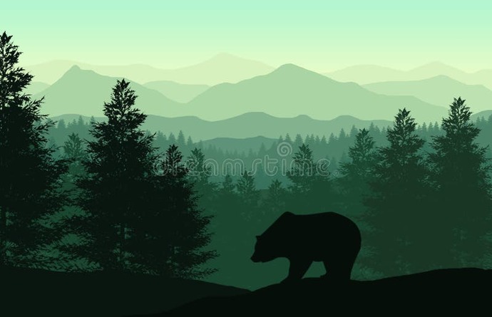 Men, who would you choose to encounter in the woods: A bear or a Woman?