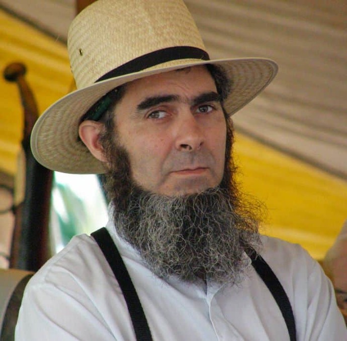 Girls, Ladies, which type of facial hair is best?