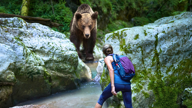 Girls, Ladies , Would you rather be stuck in the woods with a Male Stranger or a Grizzly Bear?