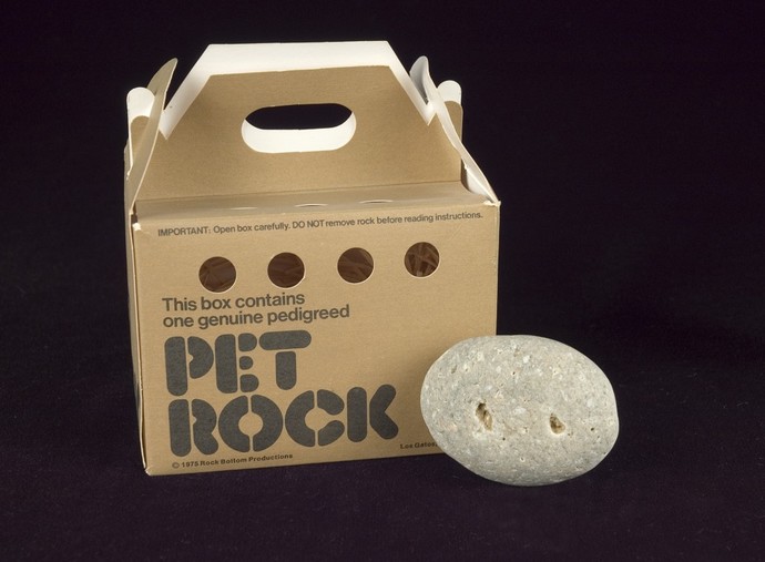 How expensive is your pets food?