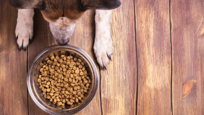 How expensive is your pet's food?