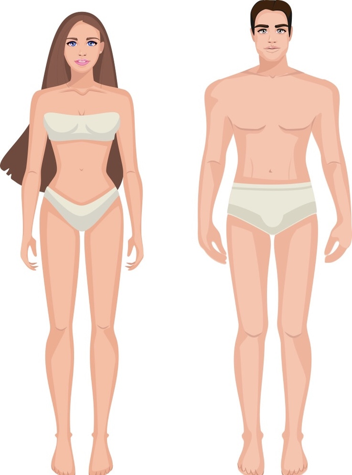 What’s the most attractive body type on the opposite gender?