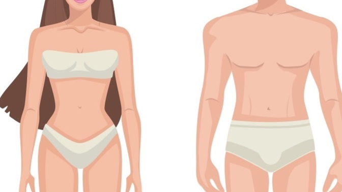 What’s the most attractive body type on the opposite gender?