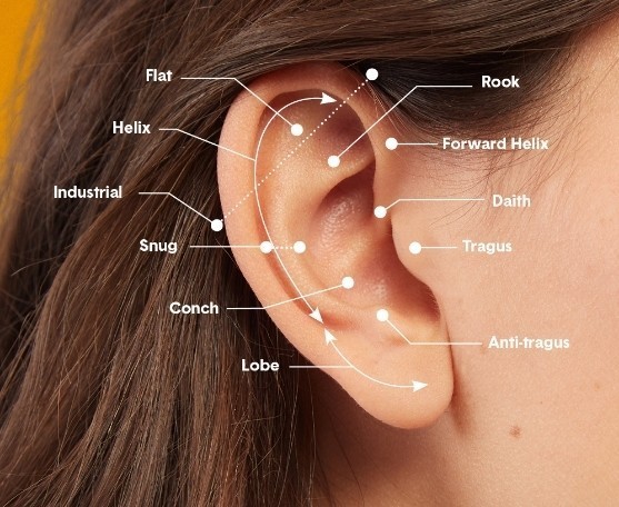 Should I Pierce My Ears? Yea or Nay?