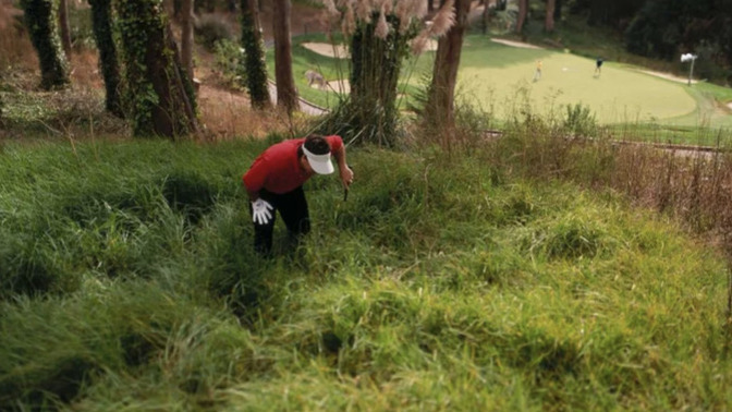 What % of your life have you spent chasing balls?
