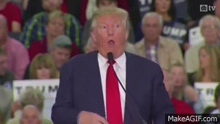 To those who are not voting for Trump this november, what are your reasons?