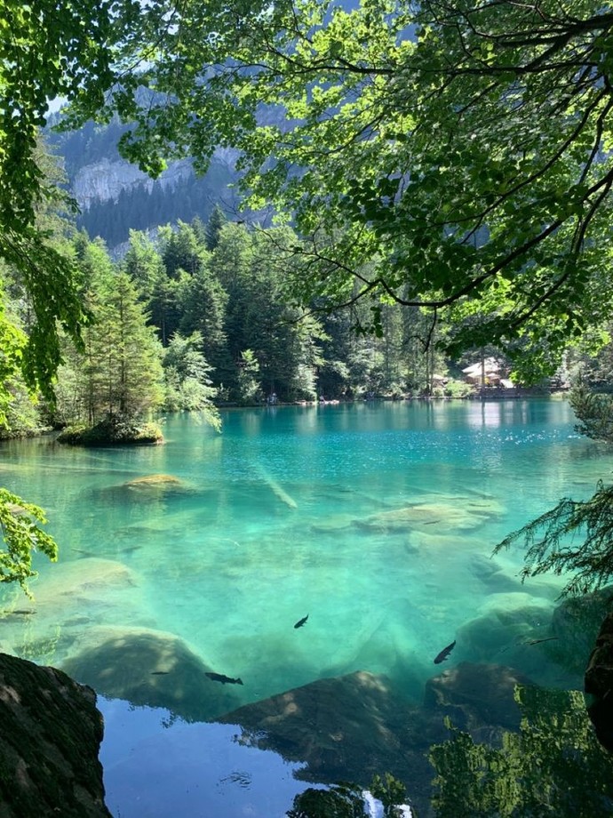 What’s your favorite place on earth?