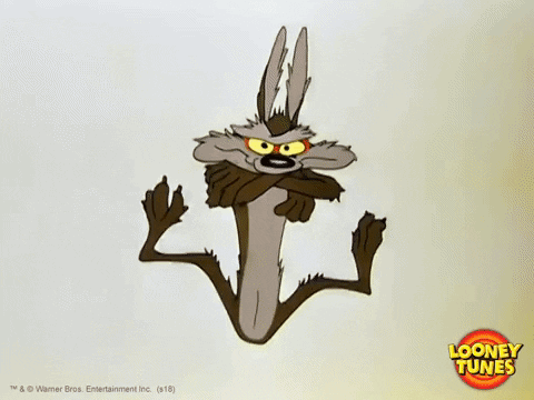 Who is your favorite Looney Tunes Character?