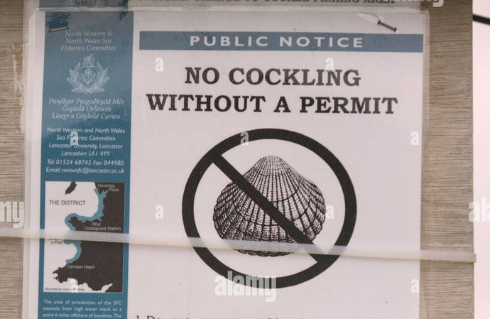 Do you like pickled cockles and mussels?