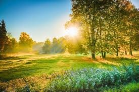What’s something that makes your day instantly better, even if you’re having a bad day?