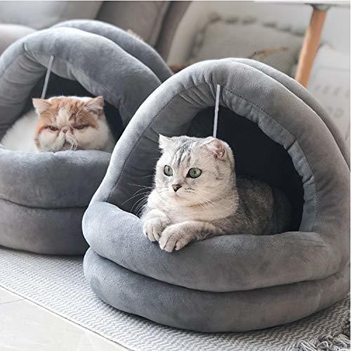 Why do cats like backpacks?