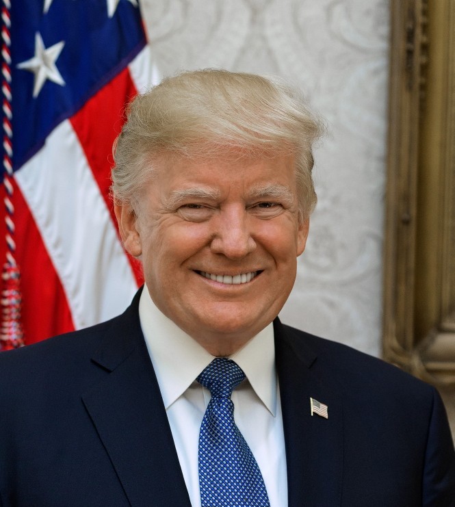 Hypothetically, you are the deciding vote for the President of the USA. Who do you vote for and why?
