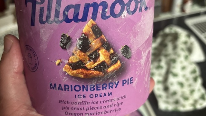 Would you try this ice cream flavor?