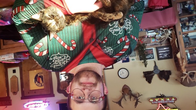 Are pets ice-breakers?