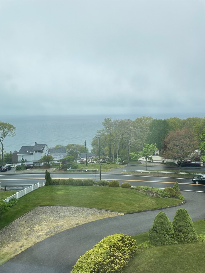 Kinda foggy today, but it’s out there, I promise, haha. I gotta take care of those weeds in the turnaround😅