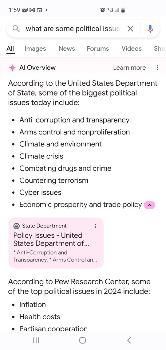 Whats your opinion of AI overview on Google search engine?