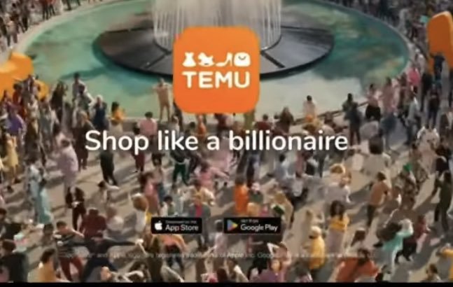 Do you feel like a billionaire shopping on TEMU?