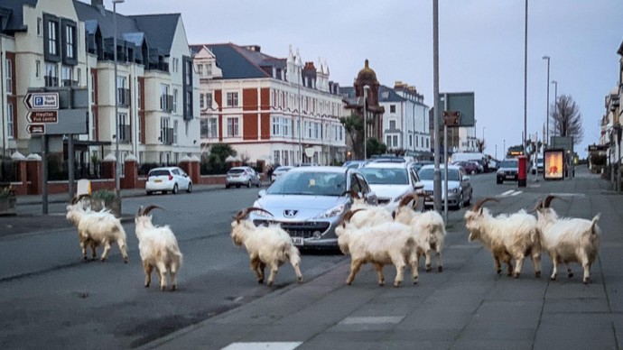 How would you rank the GOATs of the British Invasion?