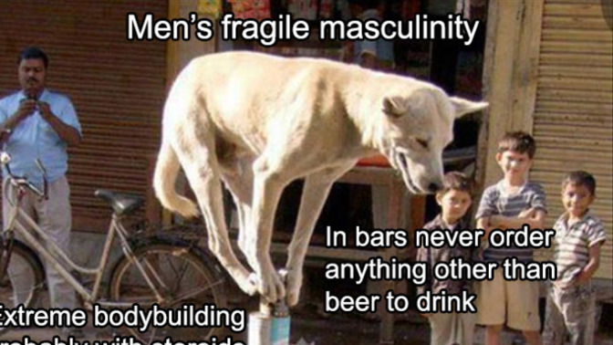 What do you think about this "fragile masculinity" image I've made?