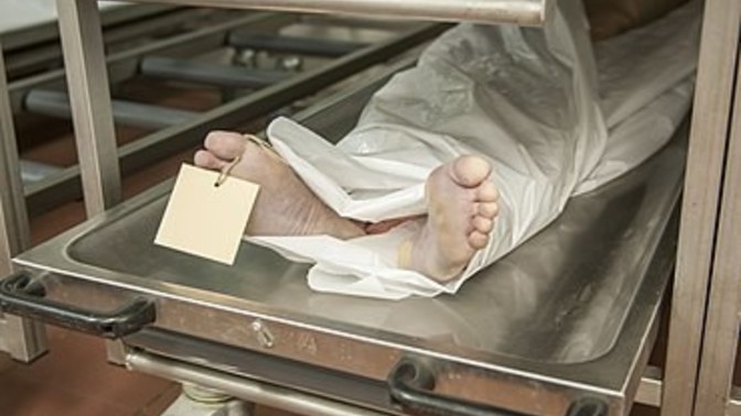 Would you work in a morgue?