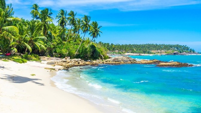 Which island would you most like to visit and why?