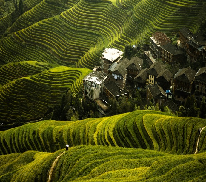 Longji Rice Terraces