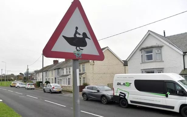 Are ducks crossing the road important?