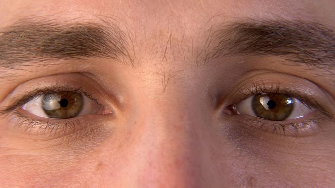 Do you WASH your EYELIDS?