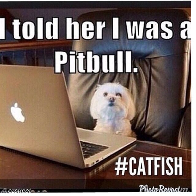 Anyone else on here immediately suspicious of catfishes when pink accounts get a bit too sexual?