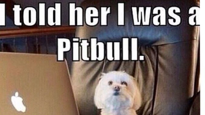 Anyone else on here immediately suspicious of catfishes when pink accounts get a bit too sexual?