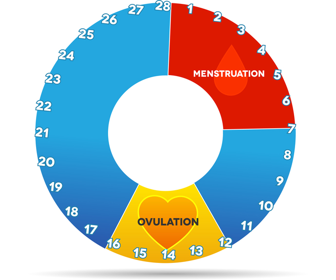 Girls, how different is your hormonal impact, physical or psychological, on days 10-14 vs days 20-24 (assuming your cycle is 28 days, convert if not)?
