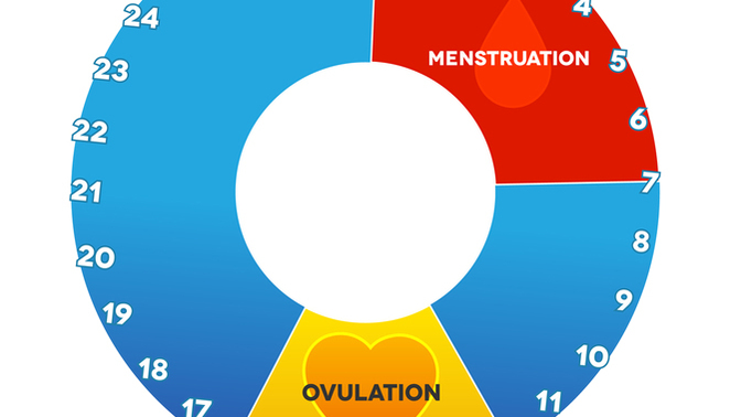 Girls, how different is your hormonal impact, physical or psychological, on days 10-14 vs days 20-24 (assuming your cycle is 28 days, convert if not)?