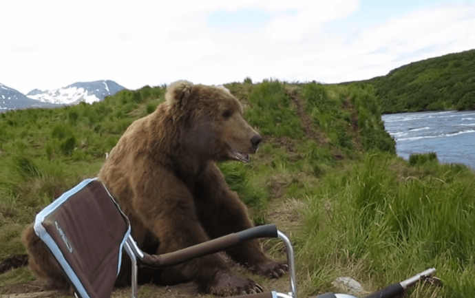 Girls, man or bear BUT this time you get to have a gun! do you still choose to be alone with the bear?