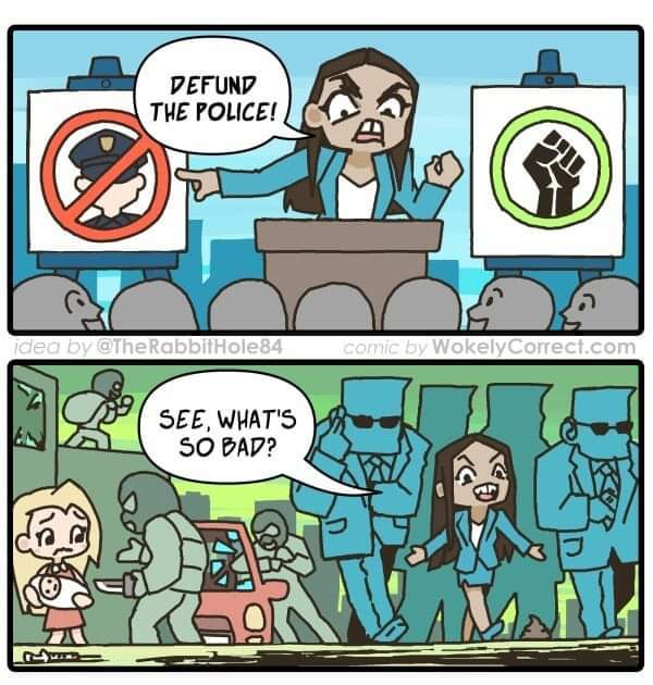 Defund the Police. Yay or nay?