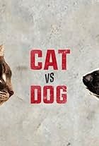 You more of cat or dog person?