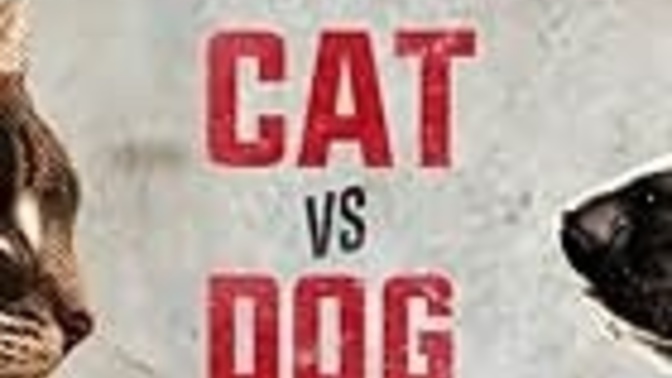 You more of cat or dog person?