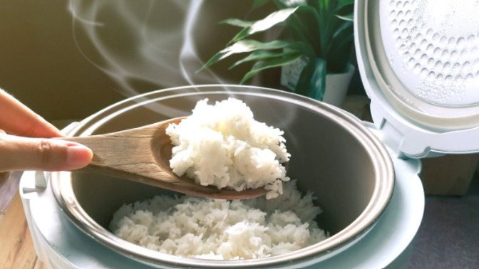 Why are rice cookers so expensive?